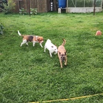 Photo from Hana’s gallery