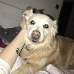 Photo from Nela’s gallery