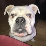 Photo from Nela’s gallery