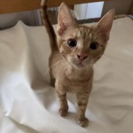 Photo from Nela’s gallery