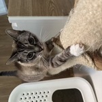 Photo from Nela’s gallery