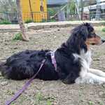 Fotka od hlídačky Kateřina 