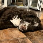 Fotka od hlídačky Kateřina 