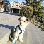 Fotka od hlídačky Kateřina 