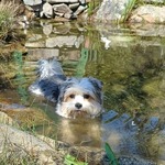 Fotka od hlídačky Kateřina 