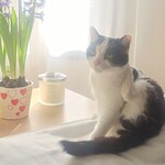 Fotka od hlídačky Kateřina 