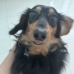 Photo from Esther’s gallery