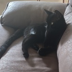 Photo from Esther’s gallery