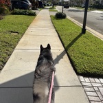 Photo from Esther’s gallery