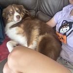 Photo from Esther’s gallery