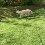 Fotka od hlídačky Magdaléna 