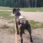 Photo from Natálie’s gallery