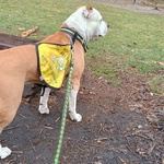 Photo from Natálie’s gallery