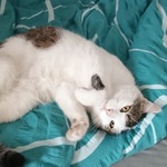 Photo from Natálie’s gallery