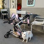 Fotka od hlídačky Libuše 