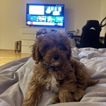 Photo from Nicole’s gallery