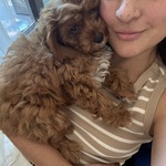 Photo from Nicole’s gallery