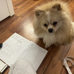 Photo from Nicole’s gallery