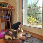 Photo from Michaela’s gallery