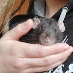 Photo from Michaela’s gallery