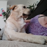 Fotka od hlídačky Alena 