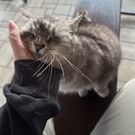 Fotka od hlídačky Karolína 