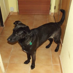 Photo from Kristýna’s gallery